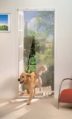 Dve�n� s�ov� �aluzie