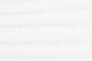 Vzor 1 b�l� d�ev�n� shrnovac� dve�e DAKO