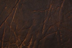 Vzor k20 ko�enkov� shrnovac� dve�e KARINA