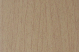 Vzor buk - plastov� shrnovac� dve�e