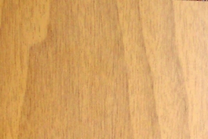 Vzor DL 09 - plastov� shrnovac� dve�e